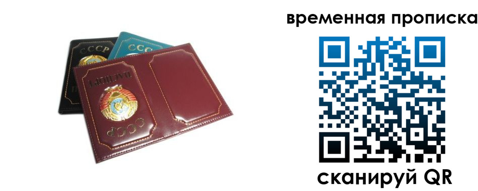 прописка 2025 в Светогорске